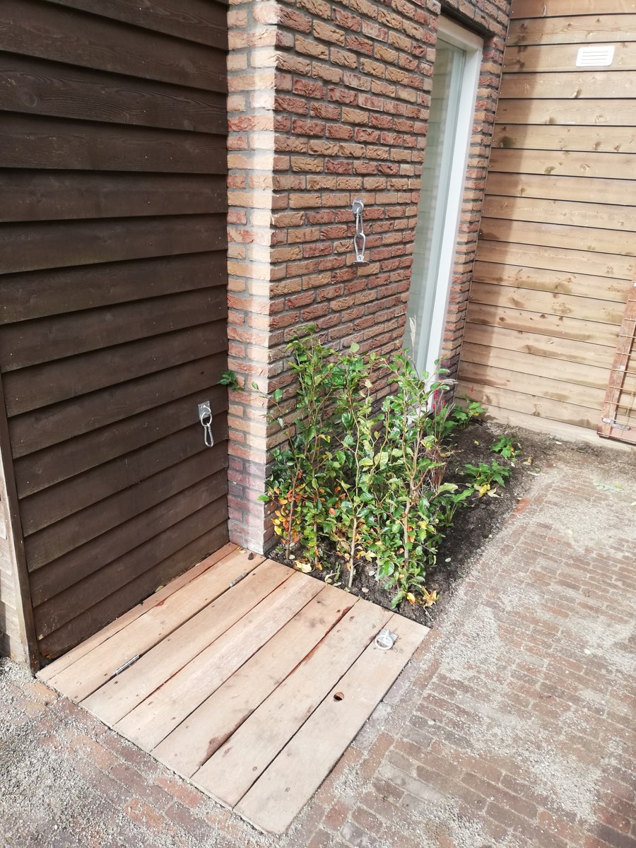 Besloten achtertuin in Utrecht, beeld 4