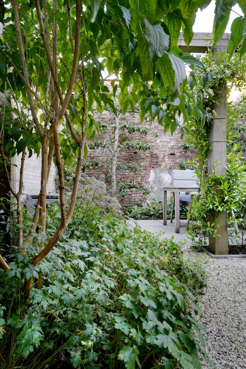 Besloten stadstuin in Utrecht, beeld 3