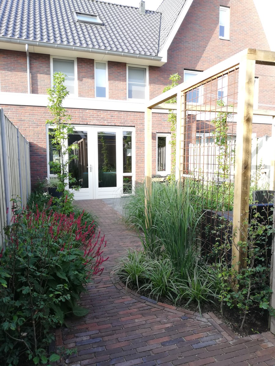 Groene achtertuin in Nijkerk, beeld 3
