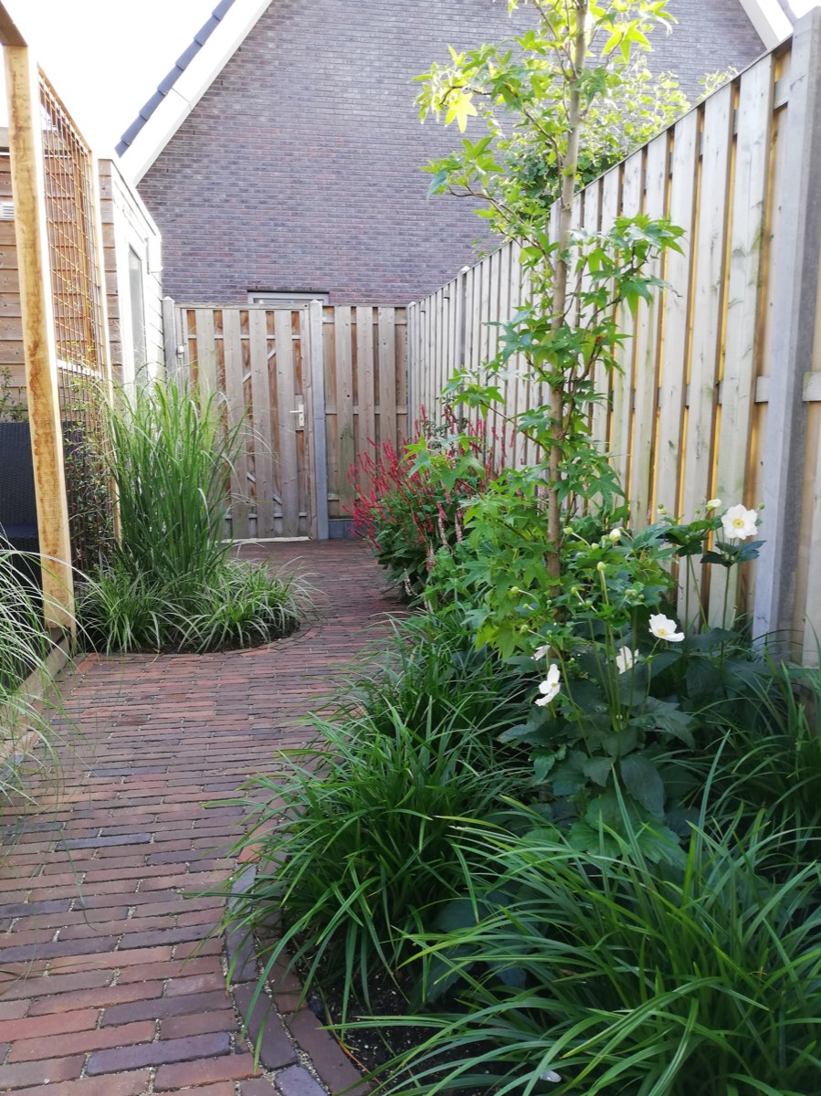 Groene achtertuin in Nijkerk, beeld 4
