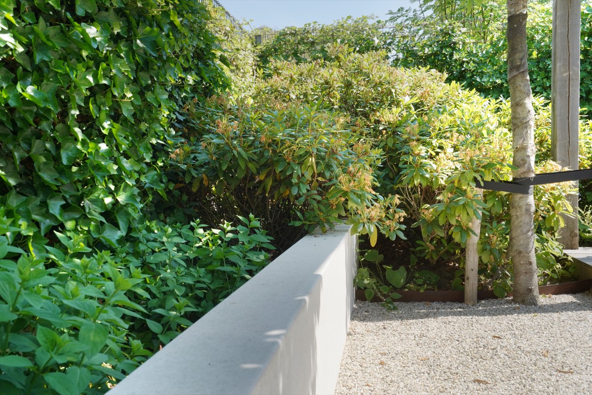 Stijlvolle tuin in Driebergen, beeld 3