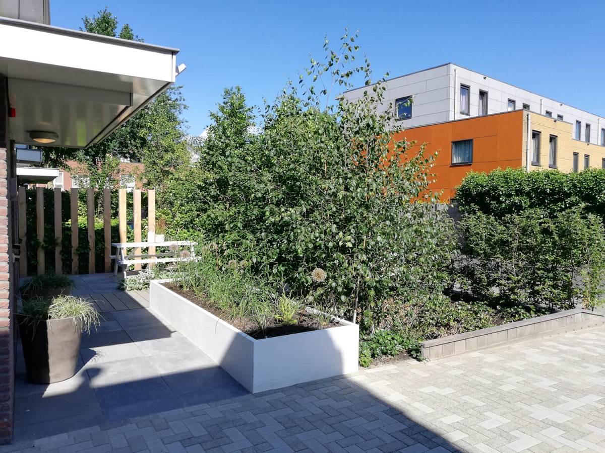 Strakke groene voortuin in Amersfoort, beeld 3