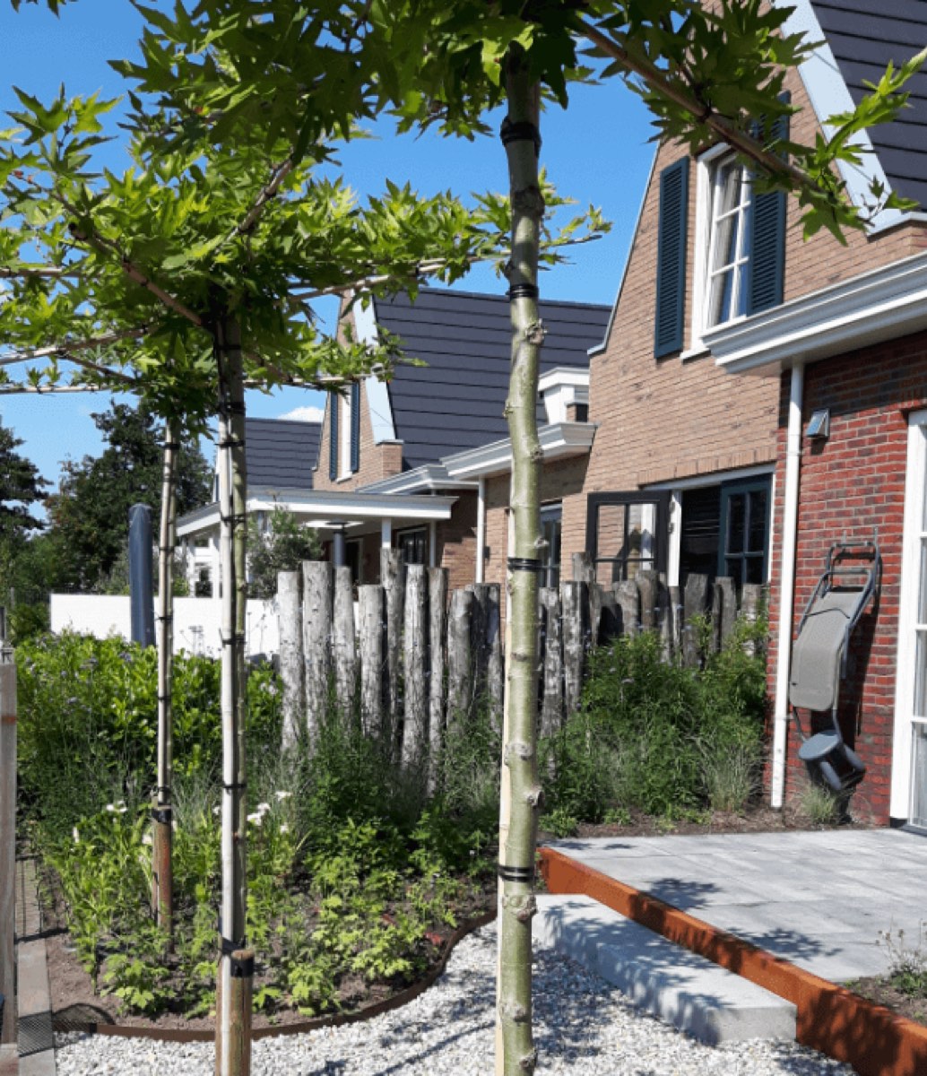Tuin aan het water in Amersfoort, beeld 4