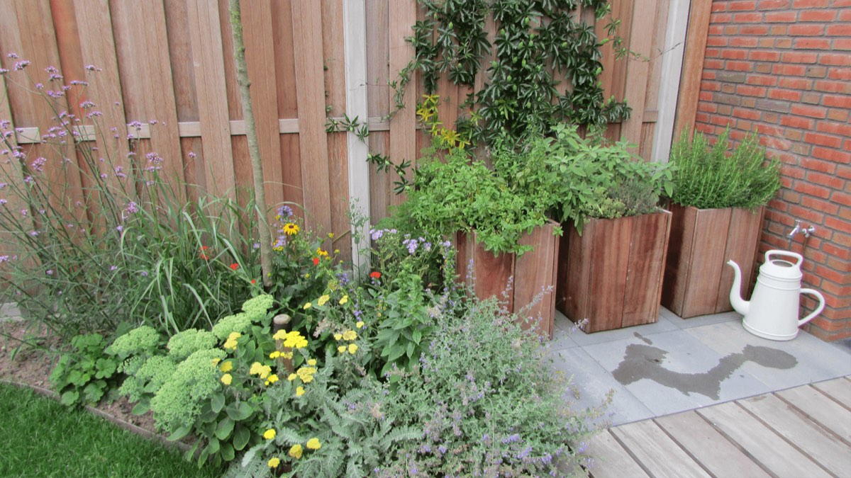 Vasteplanten tuin in Amersfoort, beeld 2