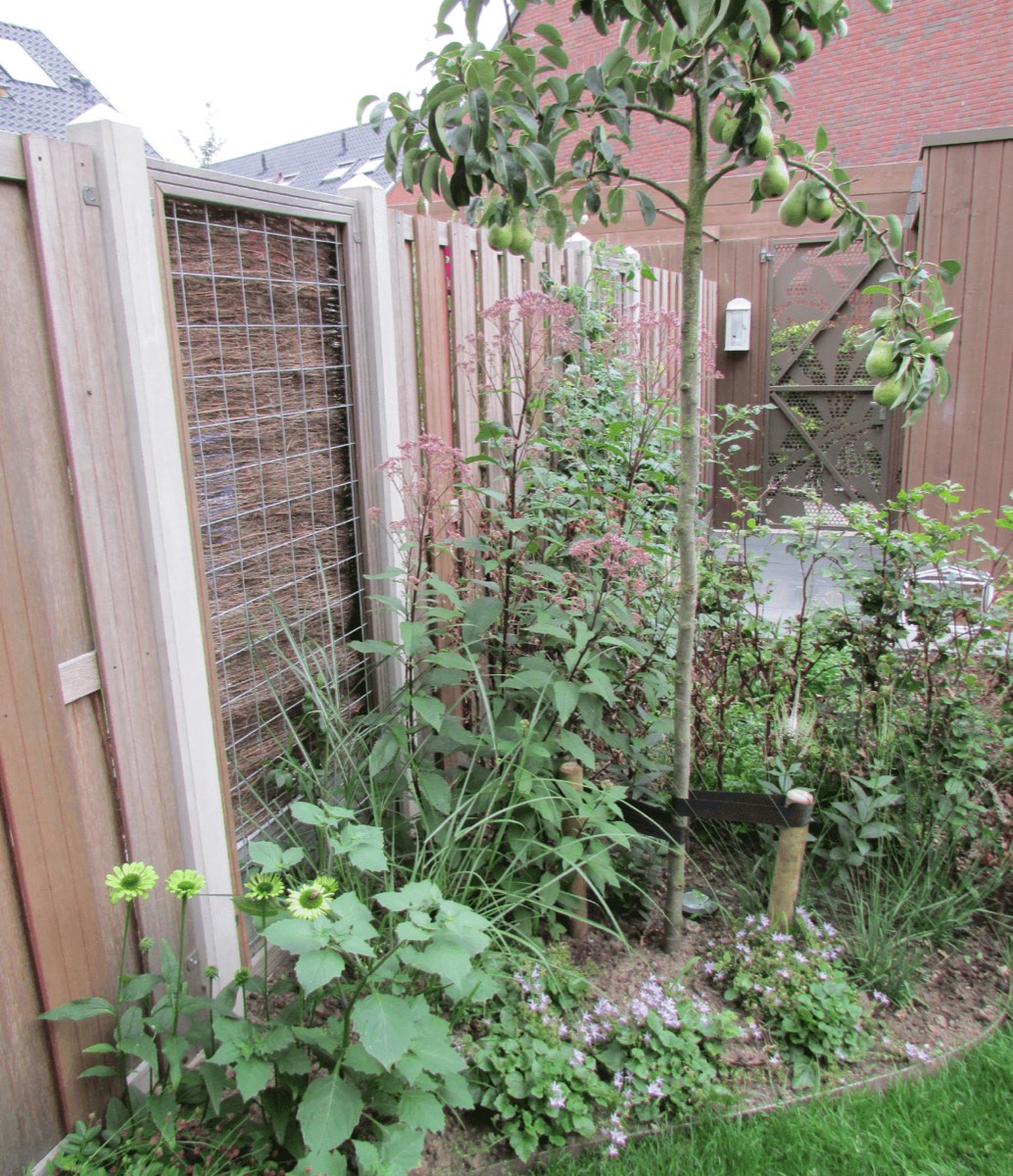 Vasteplanten tuin in Amersfoort, beeld 3