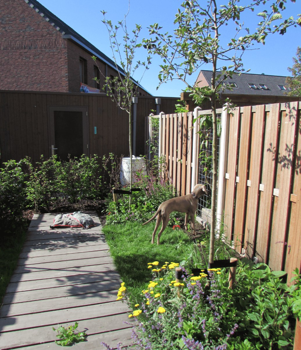 Vasteplanten tuin in Amersfoort, beeld 4